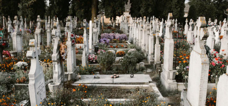 End-of-Life Decisions: How Would You Like to Meet Your End? End-of-Life Decisions: How Would You Like to Meet Your End?