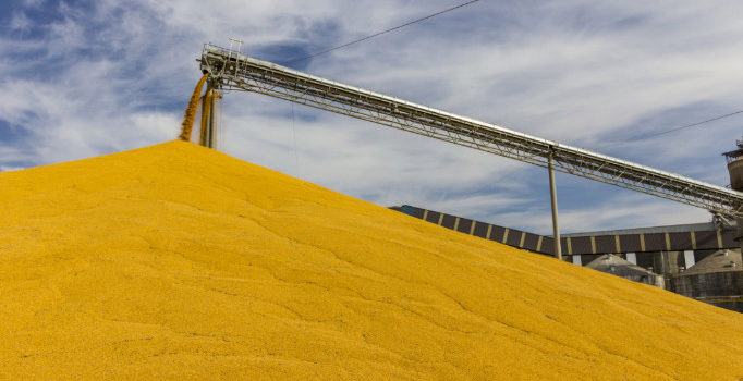Corn Wet Milling: A Step in the Food Process Corn Wet Milling: A Step in the Food Process