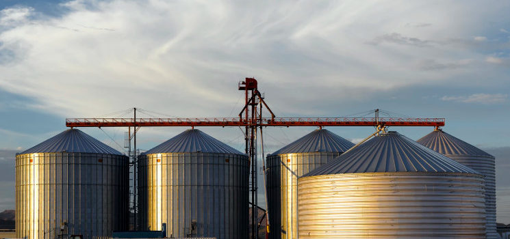 What Is a Grain Elevator? Simple Explanation