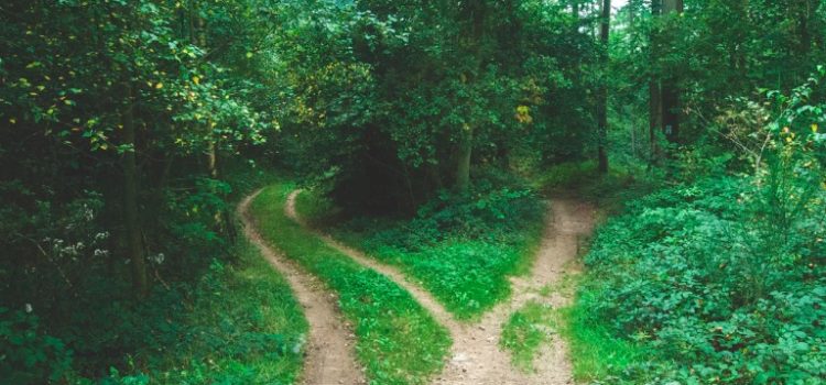 The Truth About Why We Make Bad Decisions The Truth About Why We Make Bad Decisions