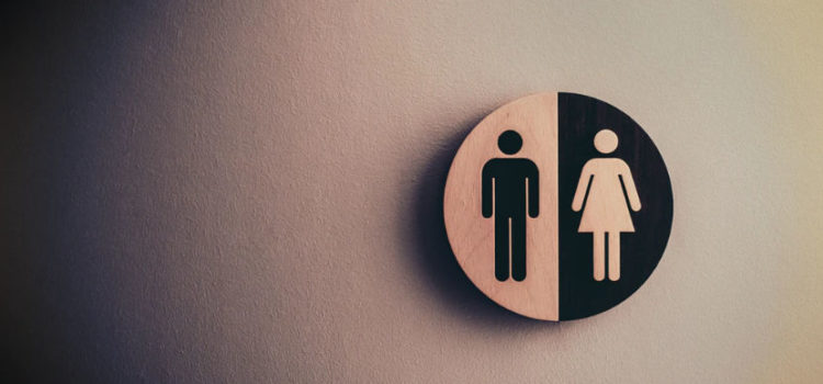 Jordan Peterson on Gender Equality: Is He Right? Jordan Peterson on Gender Equality: Is He Right?