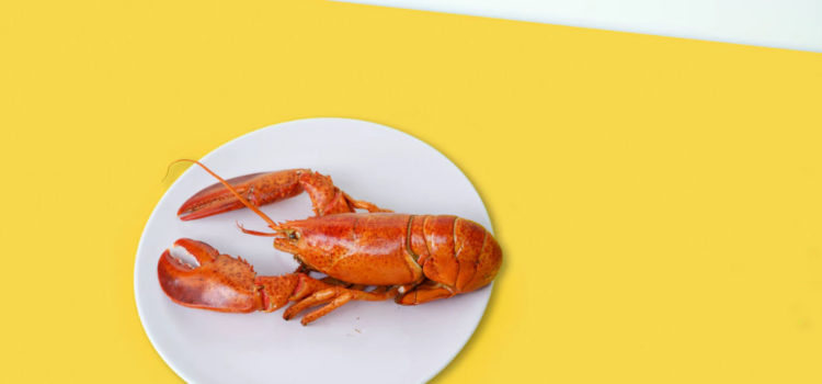 Jordan Peterson & Lobsters: What’s This About? Jordan Peterson & Lobsters: What’s This About?