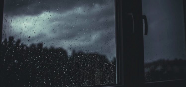 Emotional Hijacking: What Is It? Emotional Hijacking: What Is It?