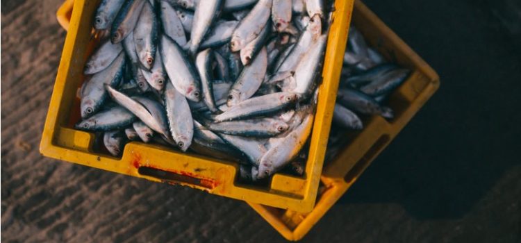 Law 39: Stir up Waters to Catch Fish (48 Laws of Power) Law 39: Stir up Waters to Catch Fish (48 Laws of Power)