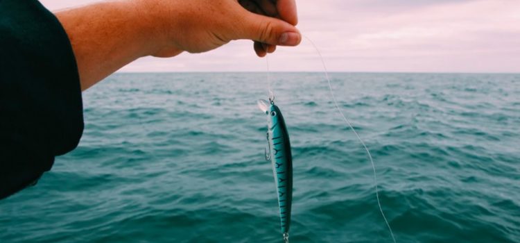 Law 8: Make Other People Come to You—Use Bait if Necessary (48 Laws of Power) Gesetz 8: Bringe andere Menschen dazu, zu dir zu kommen - benutze Köder, wenn nötig (48 Gesetze der Macht)
