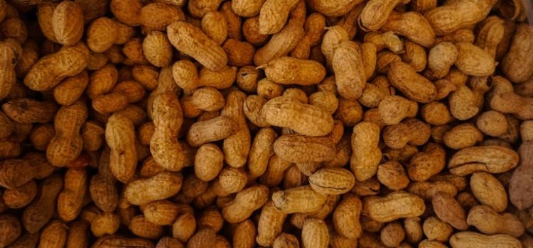 Aflatoxin B1 in Peanuts, and How to Protect Yourself