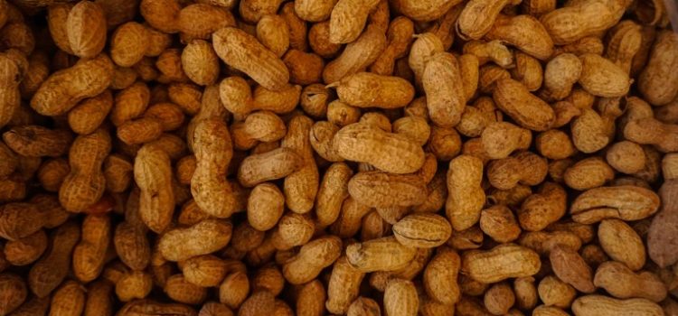 Aflatoxin B1 in Peanuts, and How to Protect Yourself Aflatoxin B1 in Peanuts, and How to Protect Yourself
