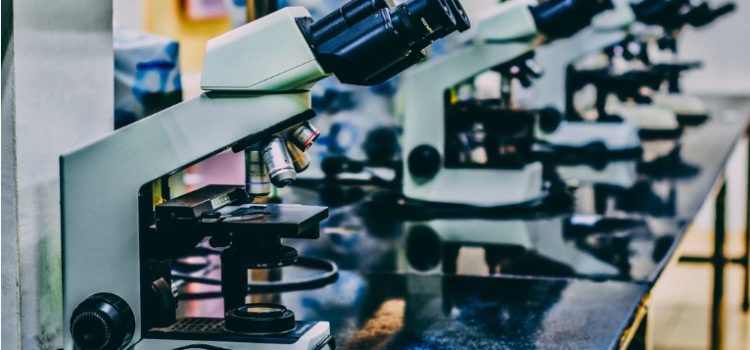 The Selfish Gene Theory: How Does It Work? The Selfish Gene Theory: How Does It Work?