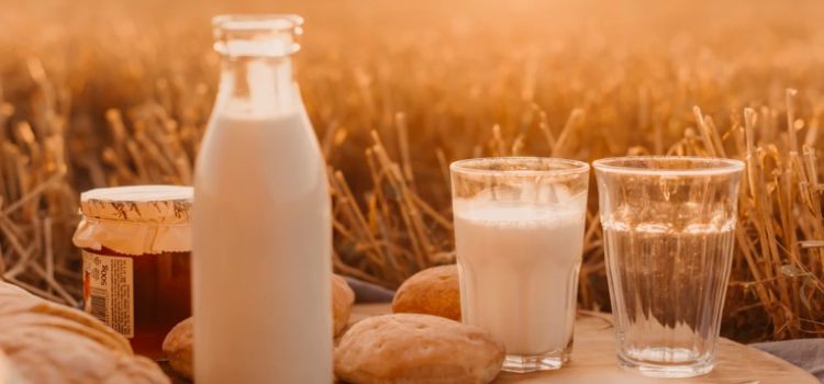 Calcium for Bones: You Shouldn’t Get it From Dairy