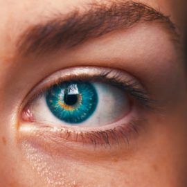 7 Foods That Research Shows are Good For Eyes