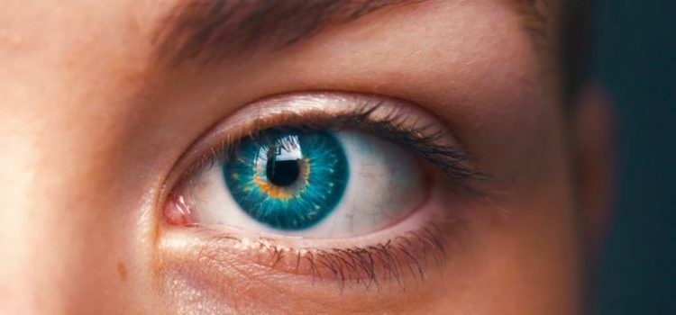 7 Foods That Research Shows are Good For Eyes