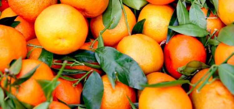 Food Industry Corruption: 4 Ways It Affects You Food Industry Corruption: 4 Ways It Affects You
