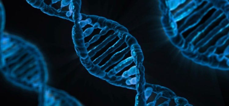 Why the ACTN3 Gene Is Called the “Speed Gene” sport