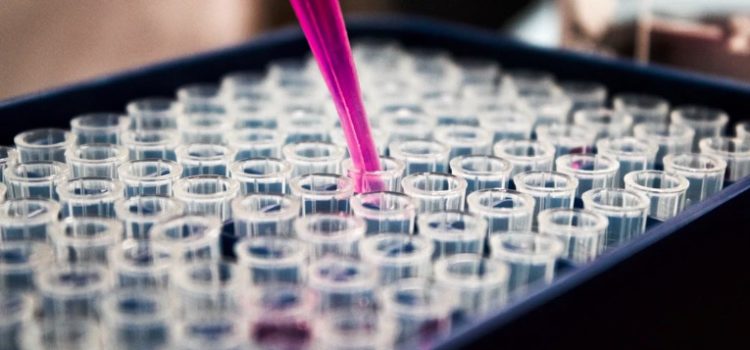 The Selfish Gene Criticism: Thinking Too Small The Selfish Gene Criticism: Thinking Too Small