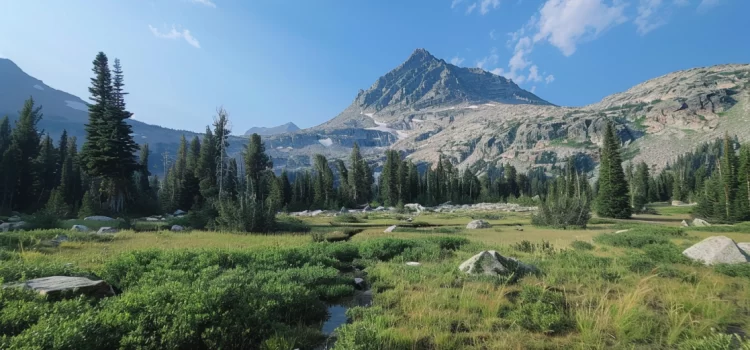 A depiction of Buck's Peak in Idaho