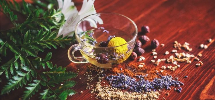 Homeopathy Doesn’t Work: Stories From Tara Westover Homeopathy Doesn’t Work: Stories From Tara Westover