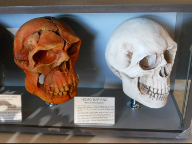 Early Homo Sapiens The Most Skilled Humans in History