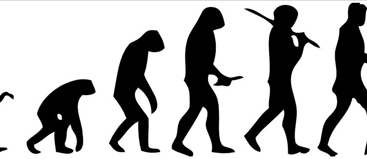 History of Human Evolution: How Bad Genes Became Assets History of Human Evolution: How Bad Genes Became Assets