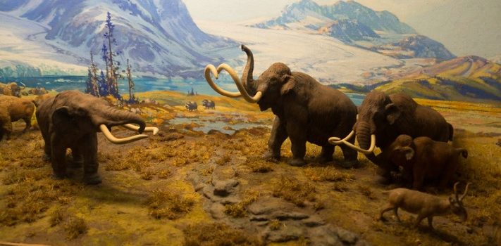 Pleistocene Extinction: When Humans Became Serial Killers