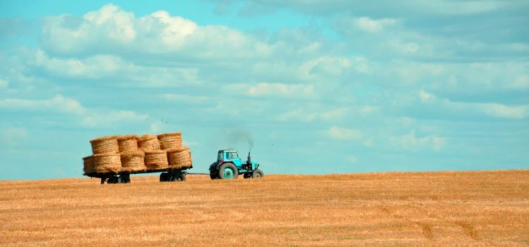 What Caused the Agricultural Revolution? Accident, Probably What Caused the Agricultural Revolution? Accident, Probably