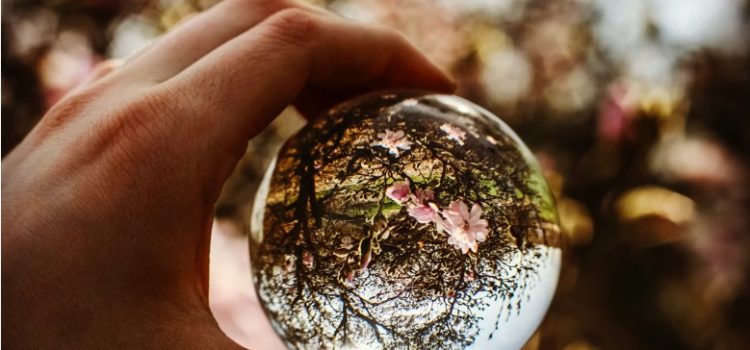 Bad Predictions: The 12 Reasons You’re Making Them Bad Predictions: The 12 Reasons You’re Making Them