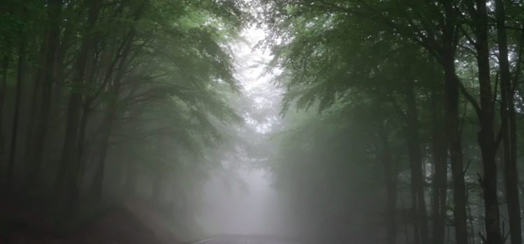 Dealing With Uncertainty: 5 Successful Strategies Dealing With Uncertainty: 5 Successful Strategies