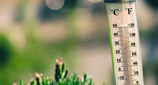 Intensity Matching: How Comparisons Bias Your Judgment