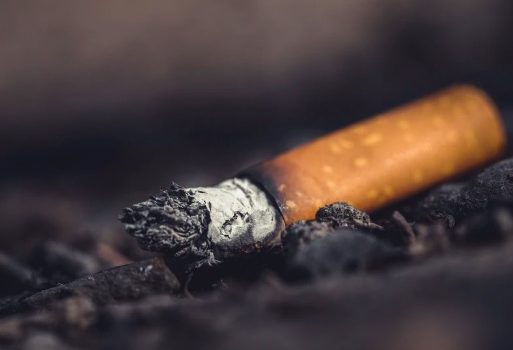 How Carcinogens Cause Cancer & Drive Its Growth How Carcinogens Cause Cancer & Drive Its Growth