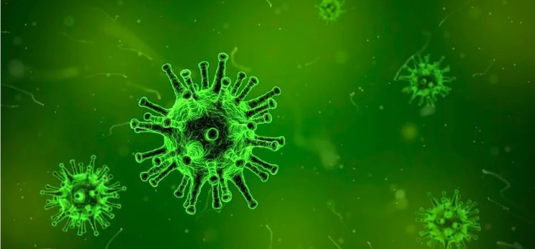 Social Epidemic: How to Make Your Ideas Spread Like Viruses Social Epidemic: How to Make Your Ideas Spread Like Viruses
