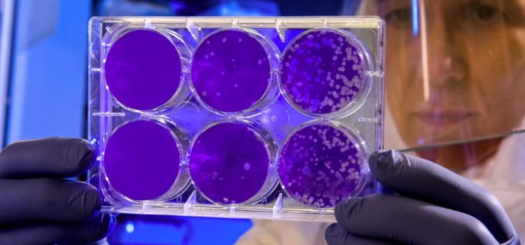 Anomalies in Science: When Things Get Weird Anomalies in Science: When Things Get Weird