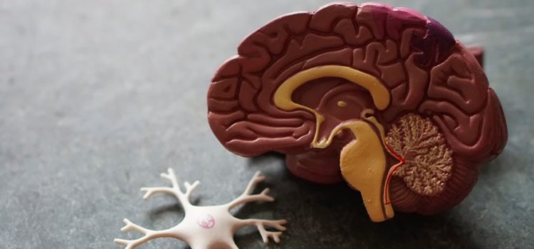 6 Fixed Mindset Examples: These Beliefs Are Holding You Back 6 Fixed Mindset Examples: These Beliefs Are Holding You Back