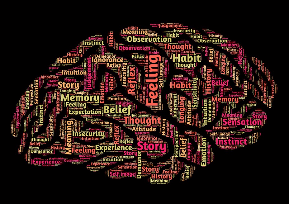 The Two Mindsets Fixed and Growth Mindsets (Carol Dweck