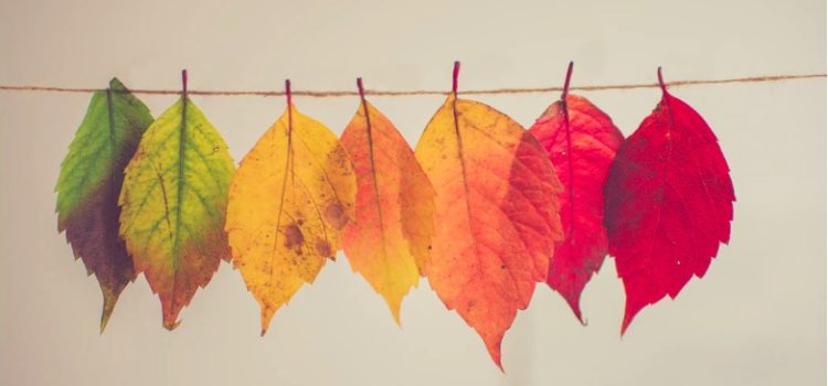 Change Is Part of Life—Here’s How to Deal With It Change Is Part of Life—Here’s How to Deal With It