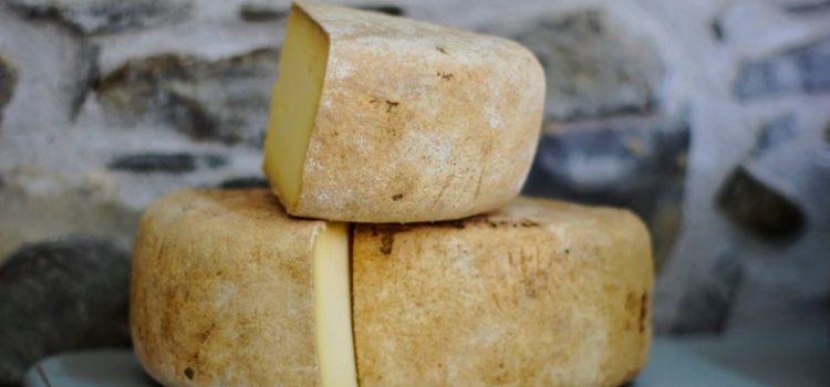 Hem and Haw (Who Moved My Cheese): Analysis Hem and Haw (Who Moved My Cheese): Analyse