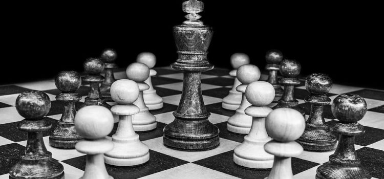 The Market Leader Company Explained: How to Stay Ahead The Market Leader Company Explained: How to Stay Ahead