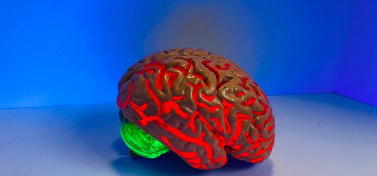 “False” Growth Mindset—Dweck Shares 4 Common Misconceptions “False” Growth Mindset—Dweck Shares 4 Common Misconceptions