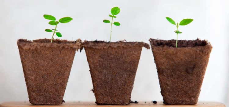 Your Potential to Grow Matters—Do You Have the Right Mindset? Your Potential to Grow Matters—Do You Have the Right Mindset?