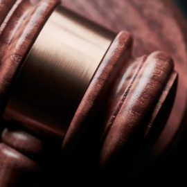 The 9 Best Criminal Procedure Books, Recommended by Experts