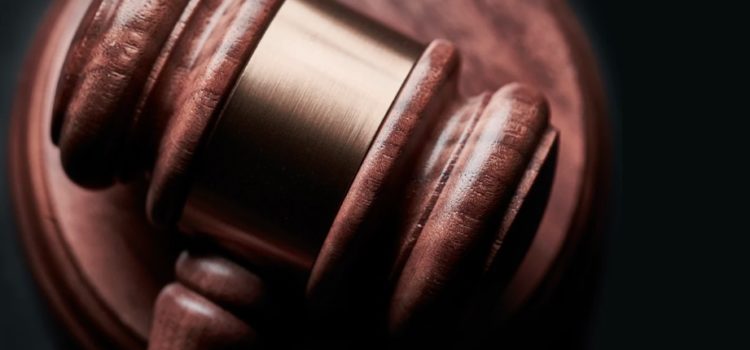 The 9 Best Criminal Procedure Books, Recommended by Experts