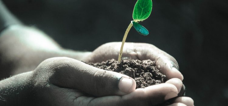 Habit 1: Be Proactive – 7 Habits of Highly Effective People Habit 1: Be Proactive – 7 Habits of Highly Effective People