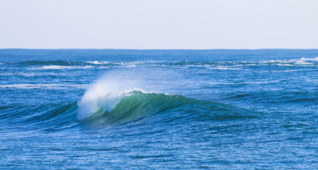 Strategy Canvas: Blue Ocean Strategy’s Analysis Tool Strategy Canvas: Blue Ocean Strategy’s Analysis Tool