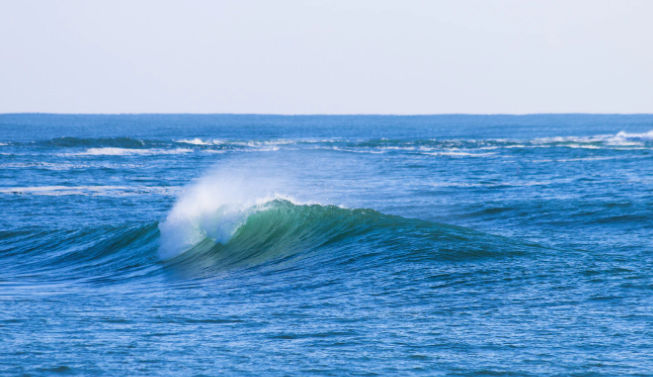 Four Actions Framework (Blue Ocean Strategy) - Shortform Books