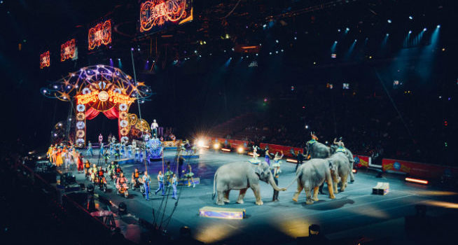 Cirque du Soleil – Blue Ocean Strategy, Explained Cirque du Soleil – Blue Ocean Strategy, Explained