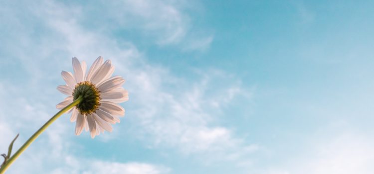 What is Chemotherapy Like?  Paul Kalanithi’s Experience