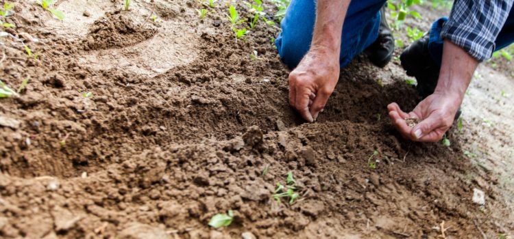 The Power of Giving—Why Giving Back Is Always Worth It The Power of Giving—Why Giving Back Is Always Worth It