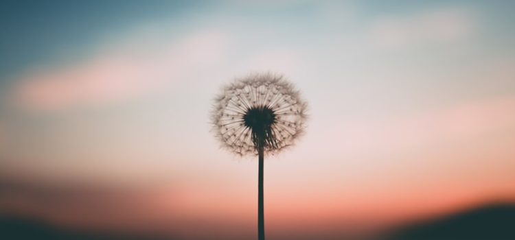 The State of Mindfulness Goes Beyond Thought The State of Mindfulness Goes Beyond Thought