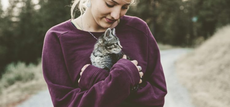 Know Your Heart: 3 Steps to Self-Awareness Know Your Heart: 3 Steps to Self-Awareness