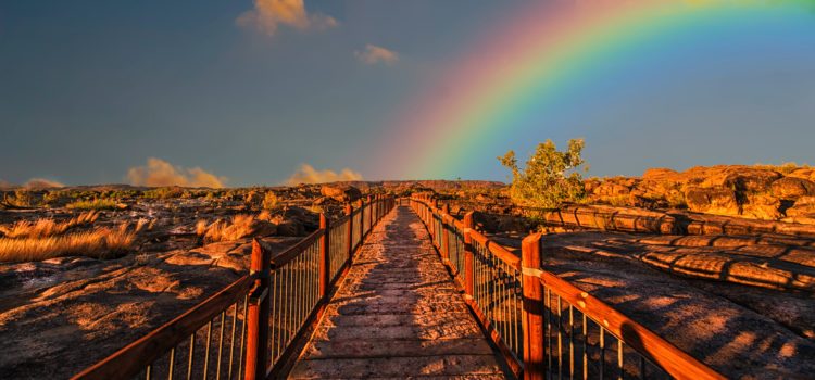 The Many Paths to God: No Failure in Spirituality The Many Paths to God: No Failure in Spirituality