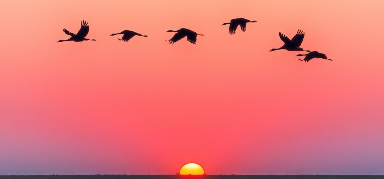 Death Is Just the Beginning: Finding Life in the Afterlife Death Is Just the Beginning: Finding Life in the Afterlife