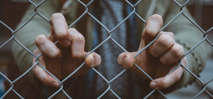 Ofuna Prison Camp: Louis’s Nightmare Continues Ofuna Prison Camp: Louis’s Nightmare Continues